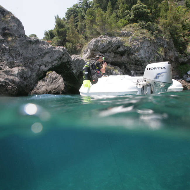 Миниатюра фото продукта 7