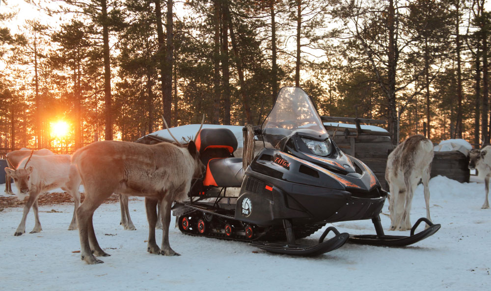 Миниатюра фото продукта 6