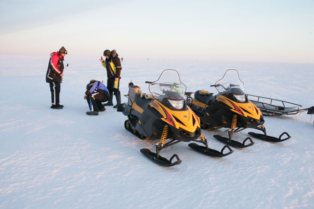 Миниатюра фото продукта 5