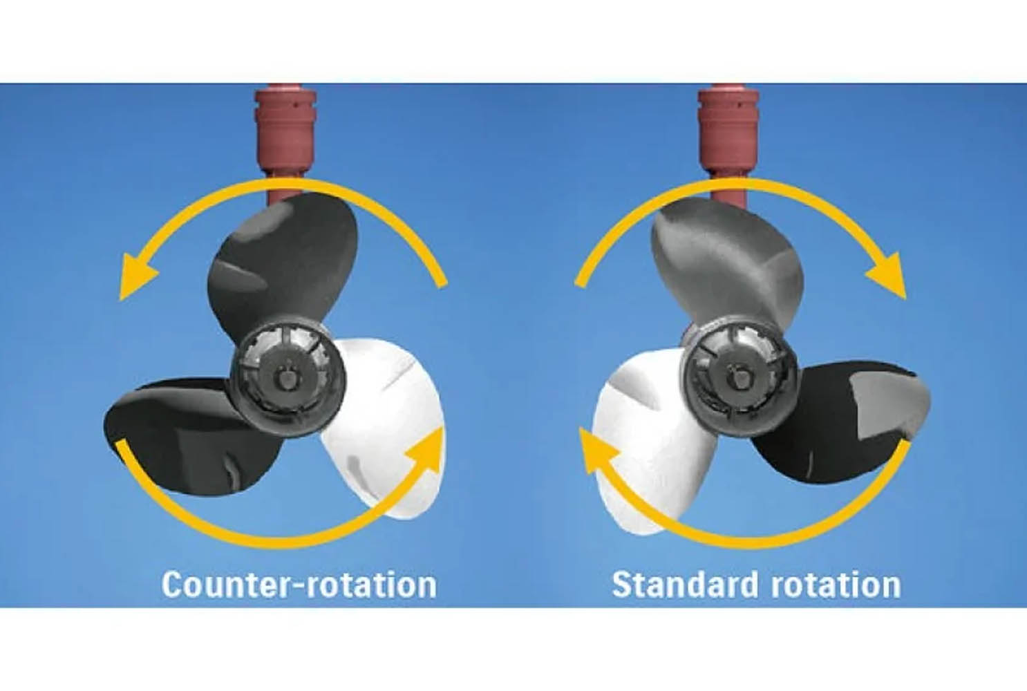 Миниатюра фото продукта 6
