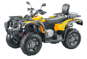 Купить Квадроцикл STELS ATV 650 YL Leopard EFI (ПСМ) в Новосибирске