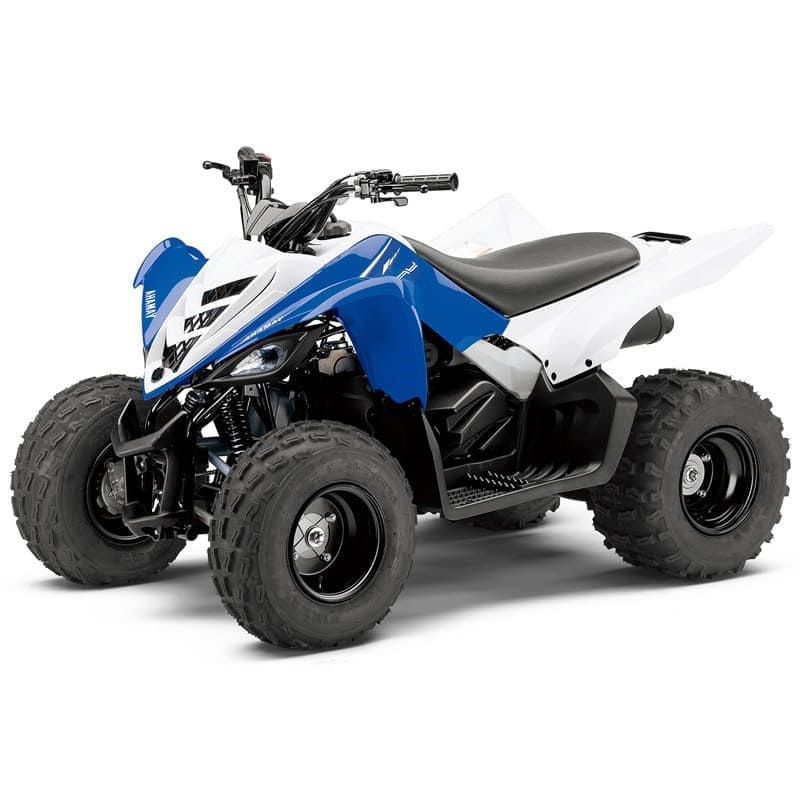 Купить Квадроцикл YAMAHA YFM90R (Raptor 90) в Якутске