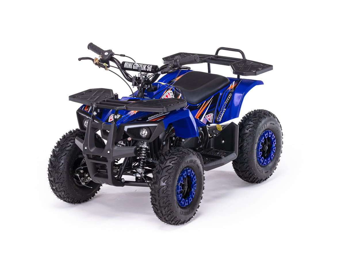 Купить Квадроцикл MOTAX Grizlik X16 (ES, BW) в Омске