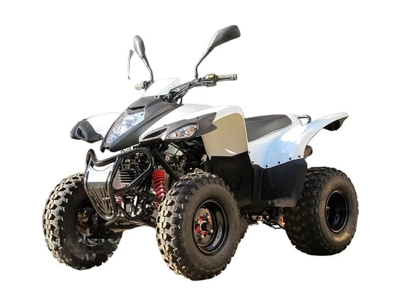 Купить Квадроцикл ADLY ATV-150S в Бресте