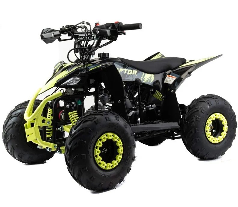 Купить Квадроцикл MOTOLAND Raptor 110 в Якутске