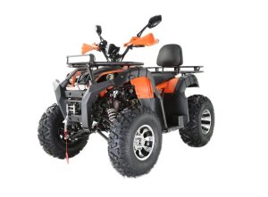 Купить Квадроцикл YACOTA Sela 200 Max в Новосибирске