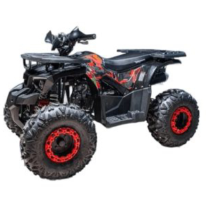 Купить Квадроцикл GLADIATOR H125 в Бресте