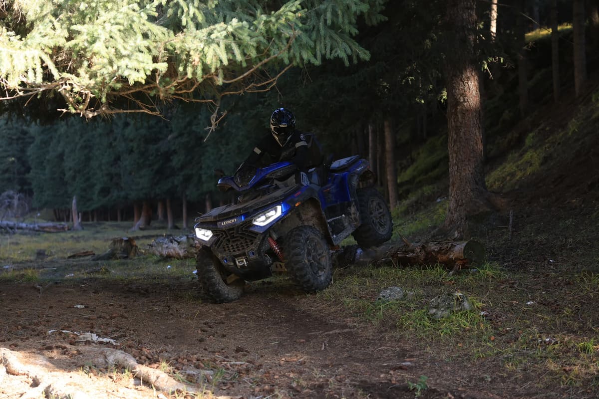 Миниатюра фото продукта 15