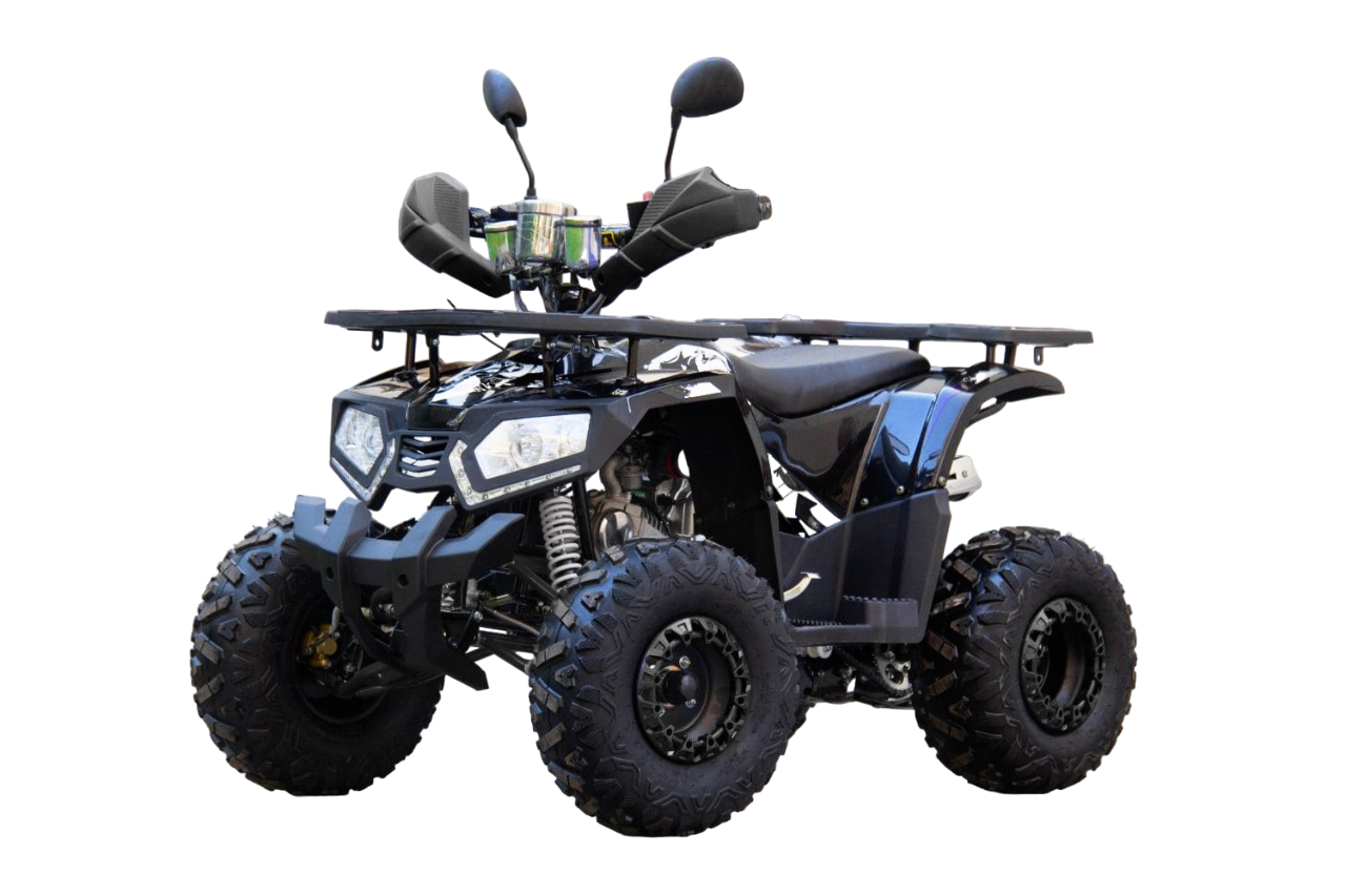 Купить Квадроцикл UNIVERSAL ATV 125 TM Fusion в Барановичах