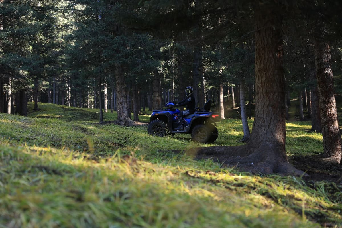 Миниатюра фото продукта 12