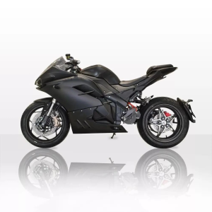 Купить Электромотоцикл ECO Ducati Panigale Pro Black (5 кВт) в Новосибирске