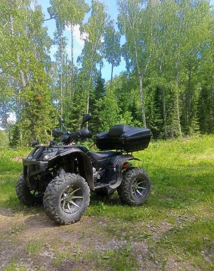 Купить Квадроцикл GRIZZLY 250 Б/У в Санкт-Петербурге