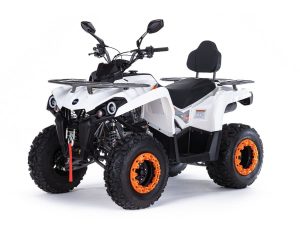 Купить Квадроцикл MOTAX ATV Grizlik 200 Ultra в Новосибирске