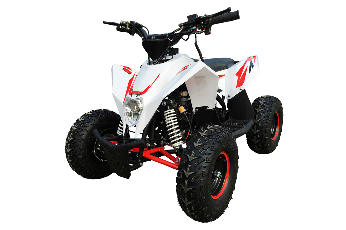 Купить Квадроцикл MOTAX Gekkon 90cc в Якутске