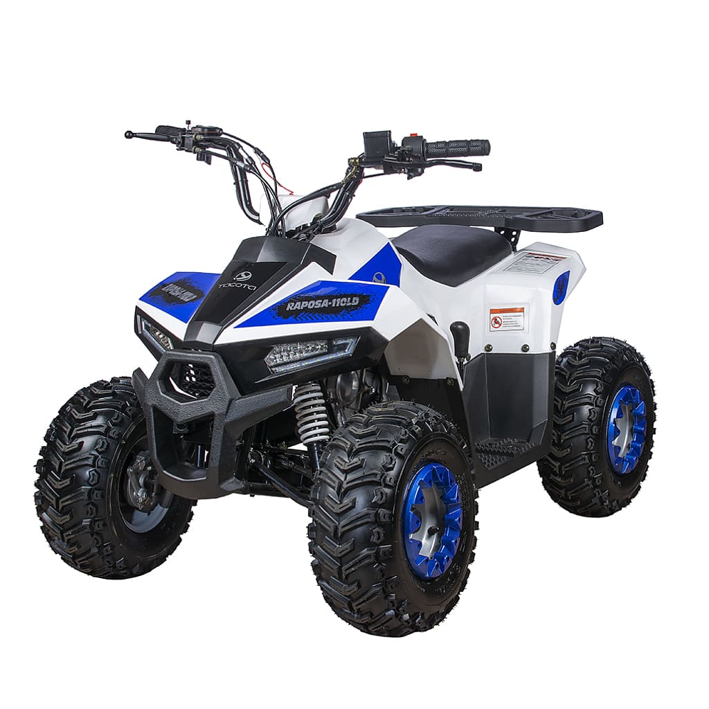 Купить Квадроцикл YACOTA Raposa в Якутске