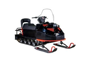 Купить Снегоход БТС Arctic 4Т New Люкс 20 л.с. (э/зап , реверс, тормоз, улучшенная подвеска) в Новосибирске