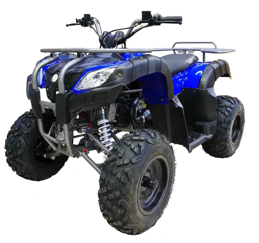 Купить Квадроцикл MOTAX ATV Grizlik 200 в Воронеже