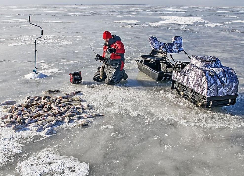 Миниатюра фото продукта 5