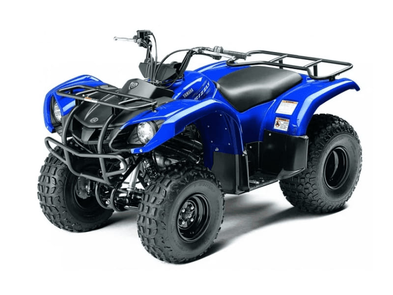 Купить Квадроцикл GRIZZLY 125 в Туле