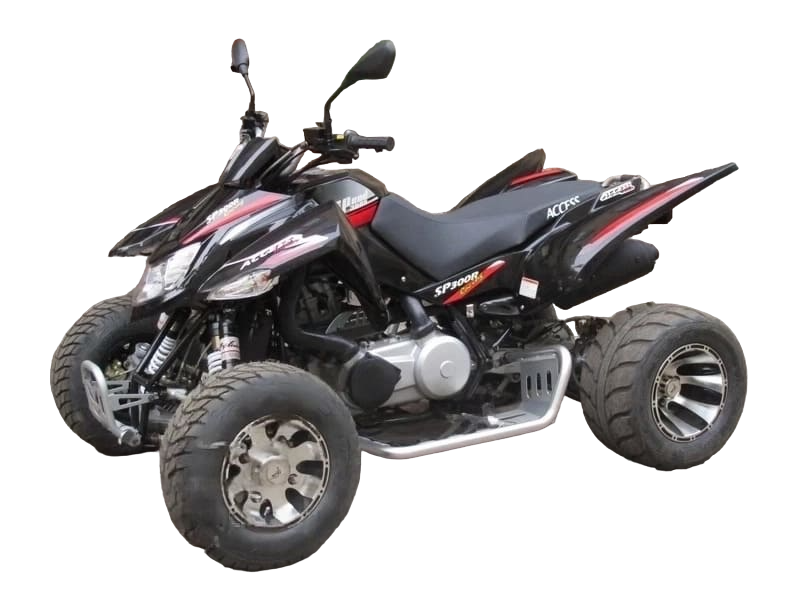Купить Квадроцикл ACCESS SP 300 SM в Бресте