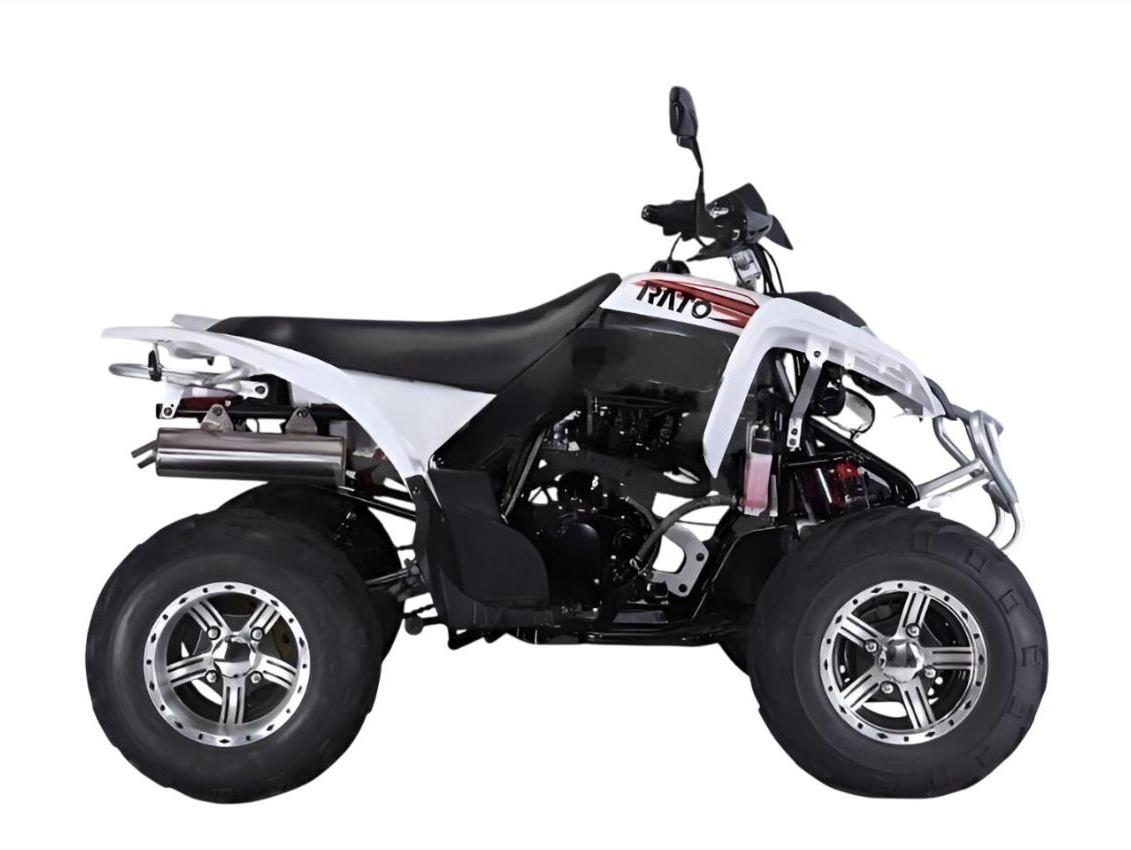 Купить Квадроцикл RATO RТ250SТ-2 в Борисове
