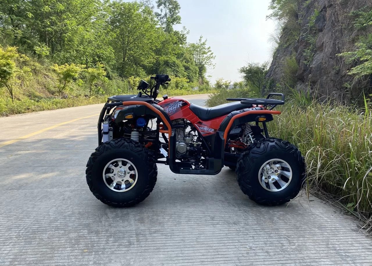 Миниатюра фото продукта 15