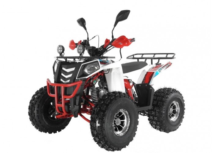 Купить Квадроцикл WELS Thunder EVO LUX X 125 в Новосибирске