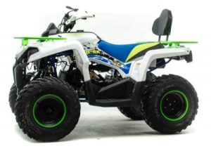 Купить Квадроцикл MOTOLAND 200 Shark (2021 Г.) в Новосибирске