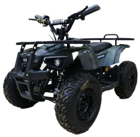 Купить Электроквадроцикл MOTAX Grizlik X16 New E1000 Big Wheel в Оренбурге