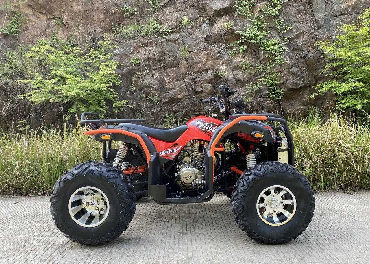 Миниатюра фото продукта 16