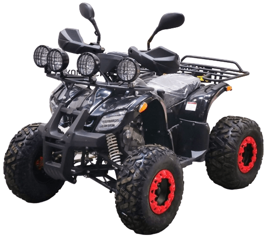 Купить Квадроцикл BISON Kids 125 LD в Иркутске