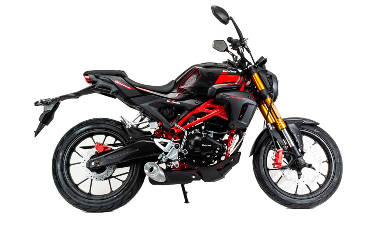 Купить Мотоцикл MOTOLAND 501 (172FMM-5/PR250) ТУРЭНДУРО в Витебске