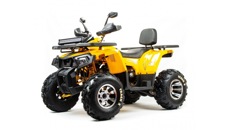 Купить Квадроцикл BISON Track X PRO в Иркутске