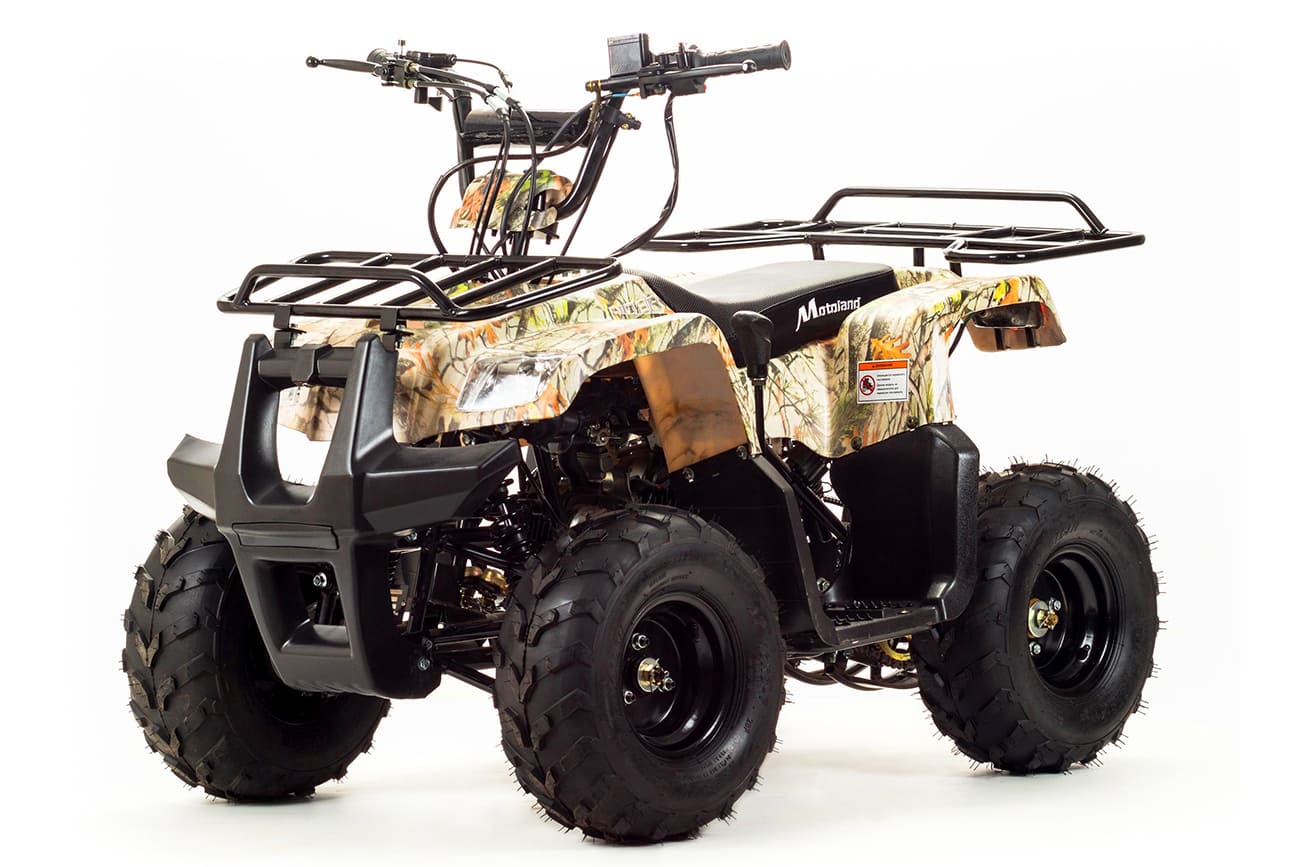 Купить Квадроцикл MOTOLAND 110 Rider (2021 Г.) в Якутске