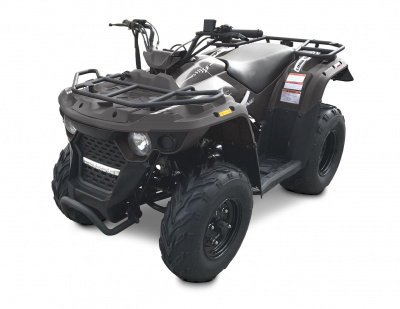 Купить Квадроцикл LINHAI-YAMAHA M150 в Новосибирске
