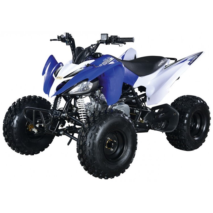 Купить Квадроцикл ABM Scorpion 125M в Уфе