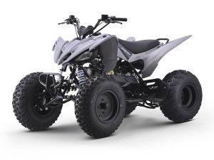 Купить Квадроцикл SHARMAX Raizer Race Cup 250 в Новосибирске