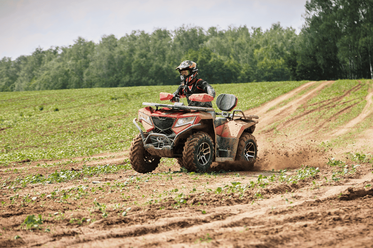 Миниатюра фото продукта 62