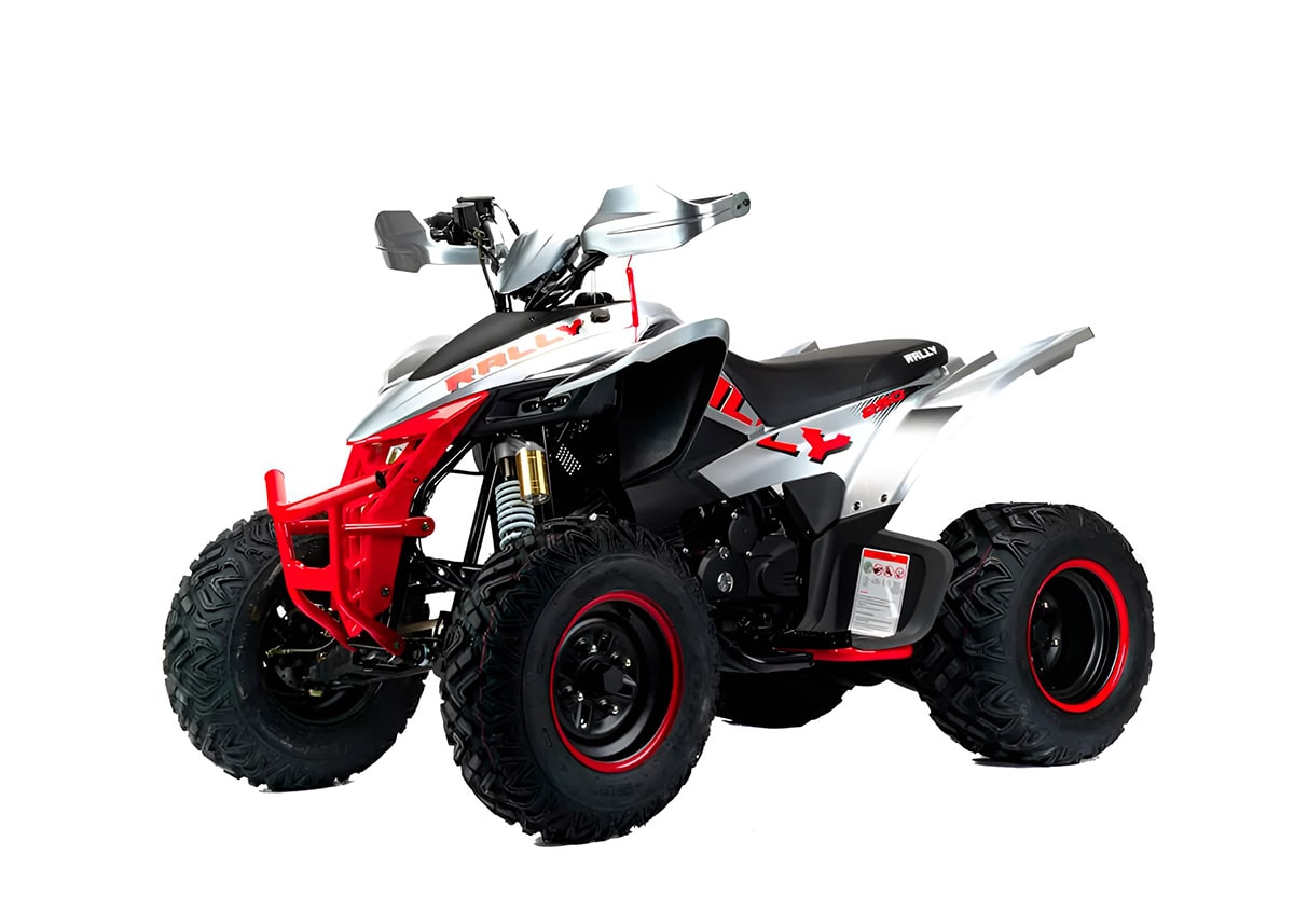 Купить Квадроцикл MOTOLAND RALLY 250 в Улан-Удэ