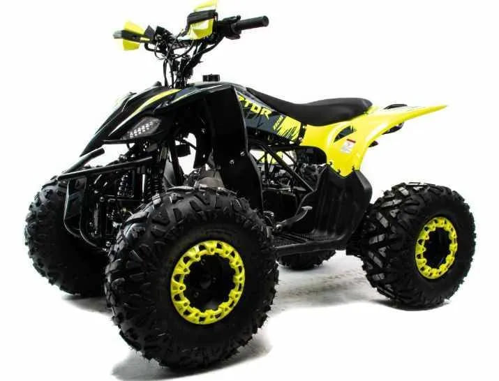 Купить Квадроцикл MOTOLAND 125 RAPTOR в Улан-Удэ