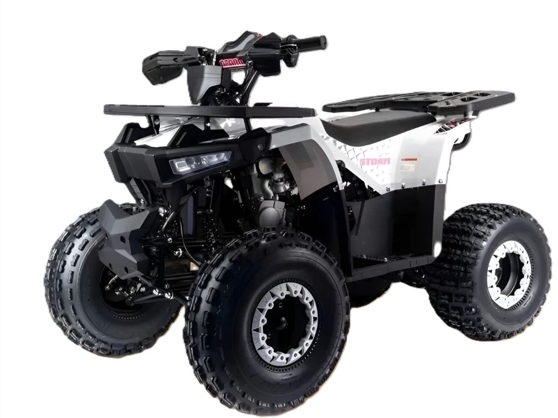 Купить Квадроцикл MOTOLAND Storm A 125 в Улан-Удэ