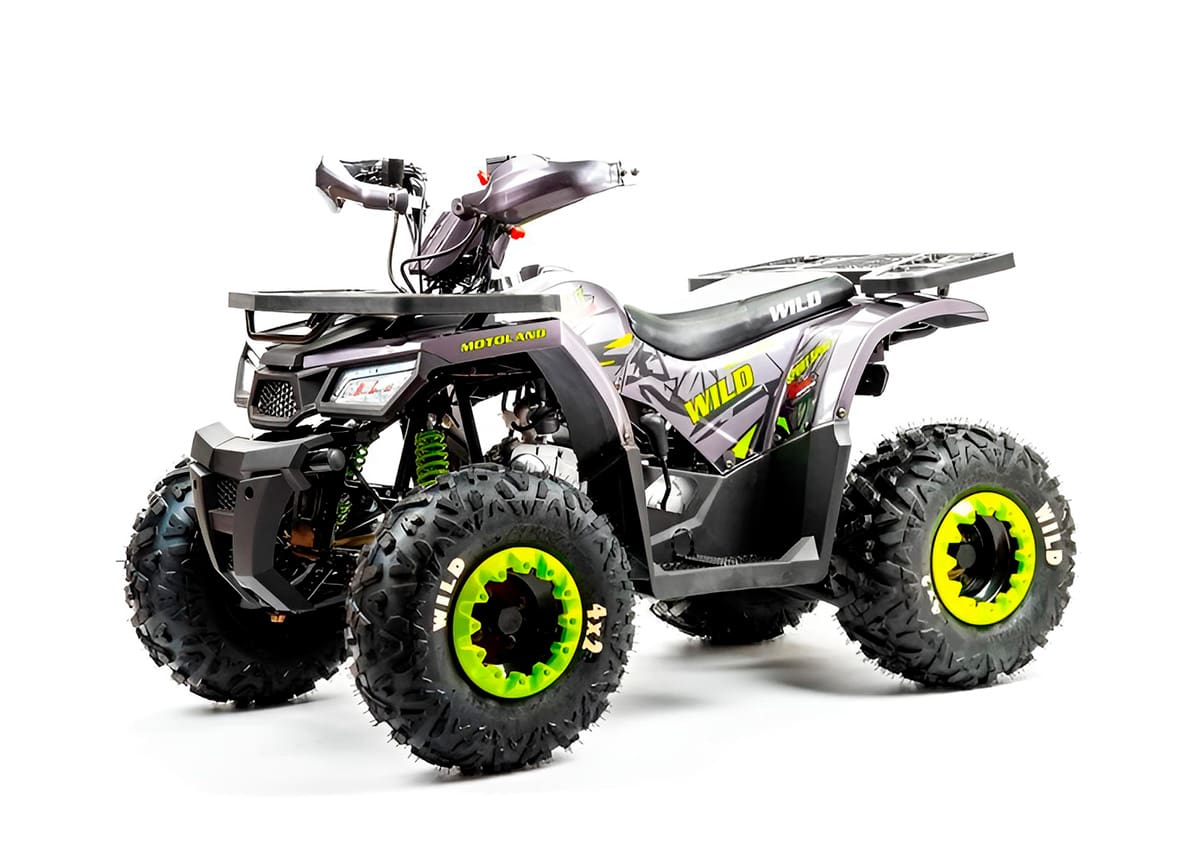 Купить Квадроцикл MOTOLAND Wild Basic 125 в Улан-Удэ