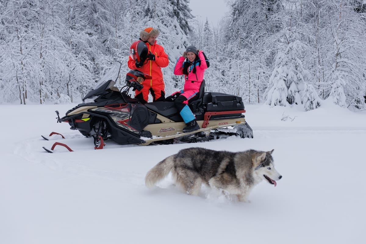 Миниатюра фото продукта 3