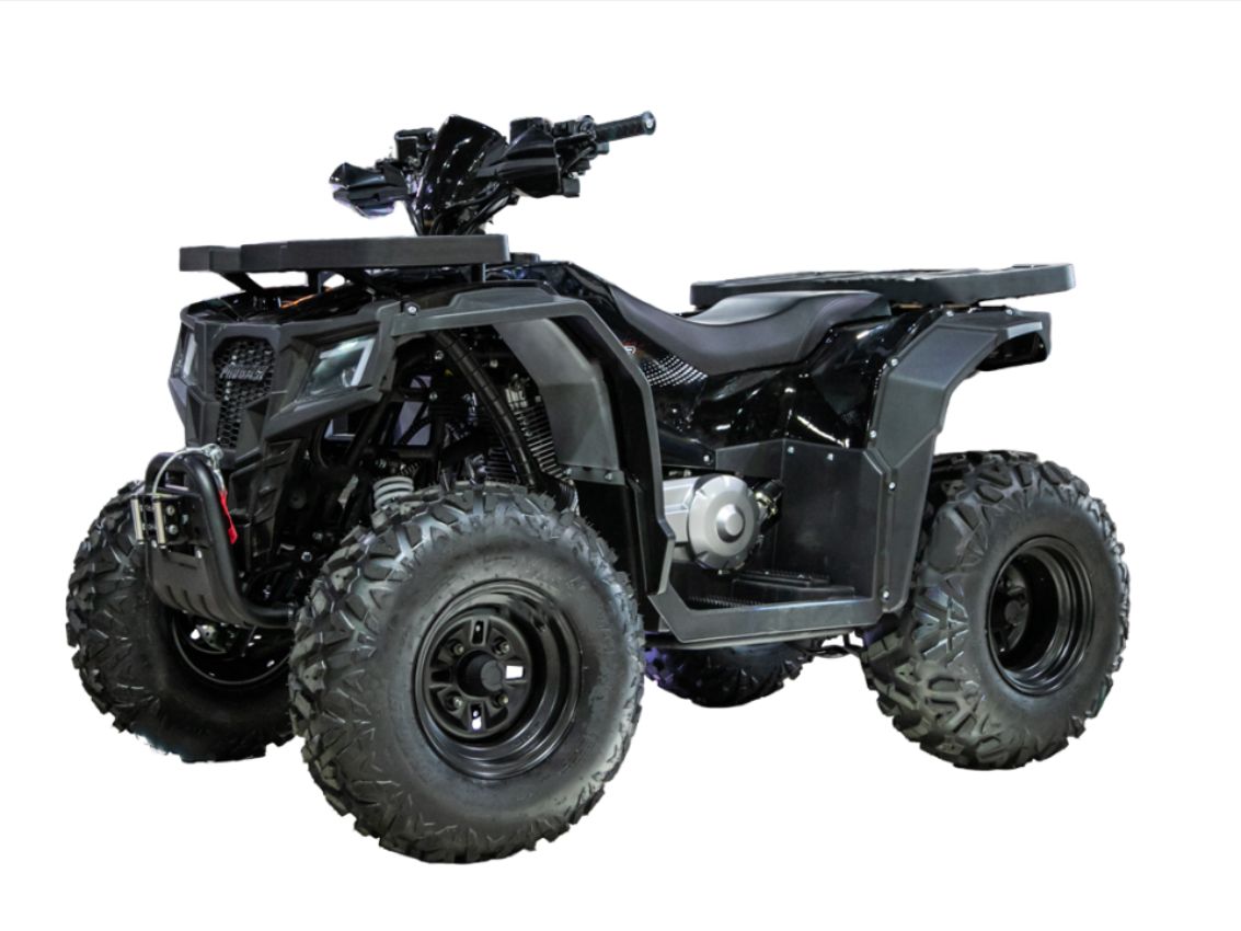 Купить Квадроцикл PROGASI Race Jumper 200 Max Power в Донецке