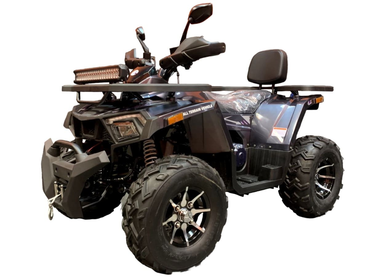 Купить Квадроцикл TAO MOTOR ATV 200 Lux в Кирове